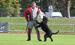Sporthund