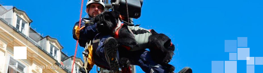 Flint con todos los santos