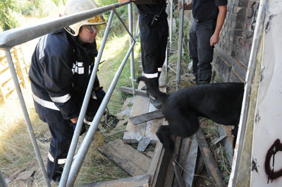 Flint im Einsatz